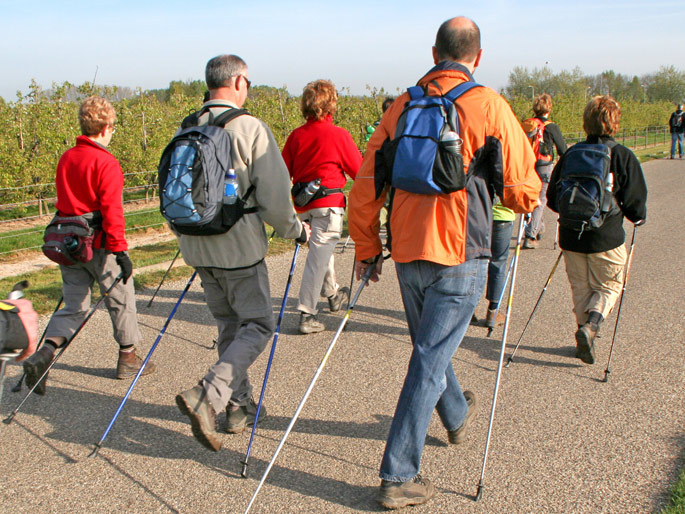 A group of people walk outdoor with poles